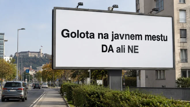 Slika članka