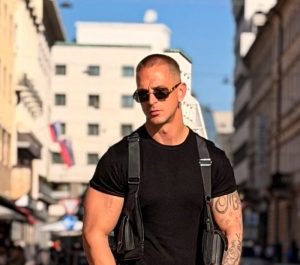 Slika članka