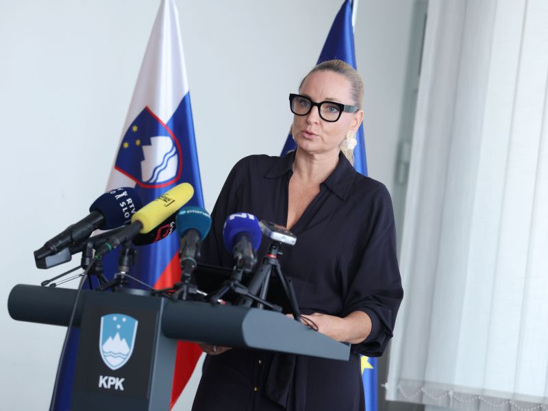 Slika članka