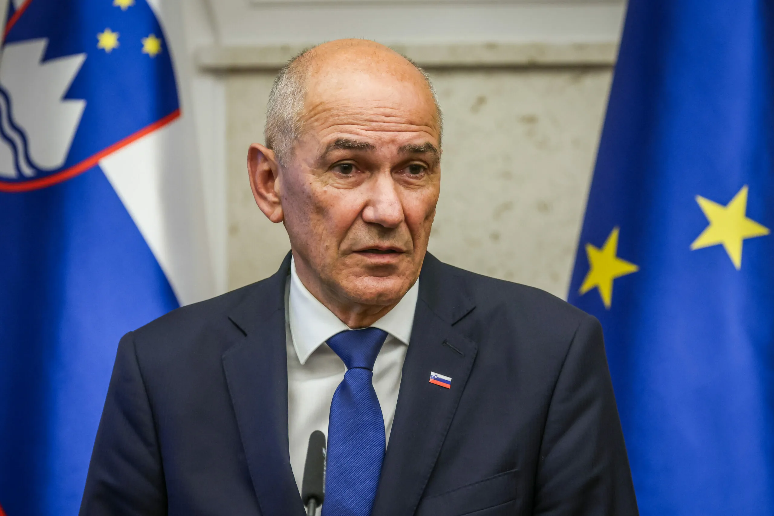 Slika članka