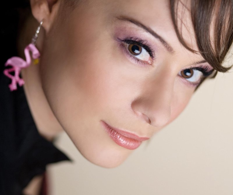 Slika članka