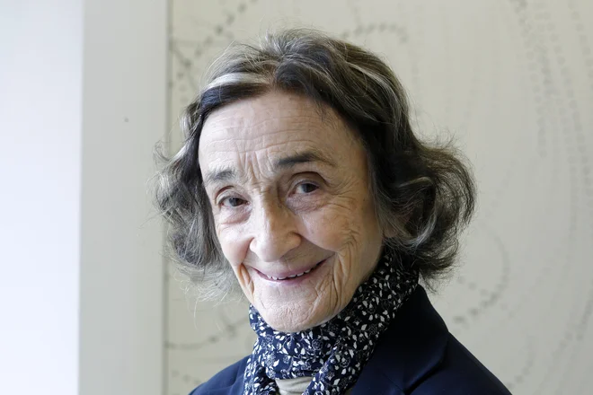 Slika članka