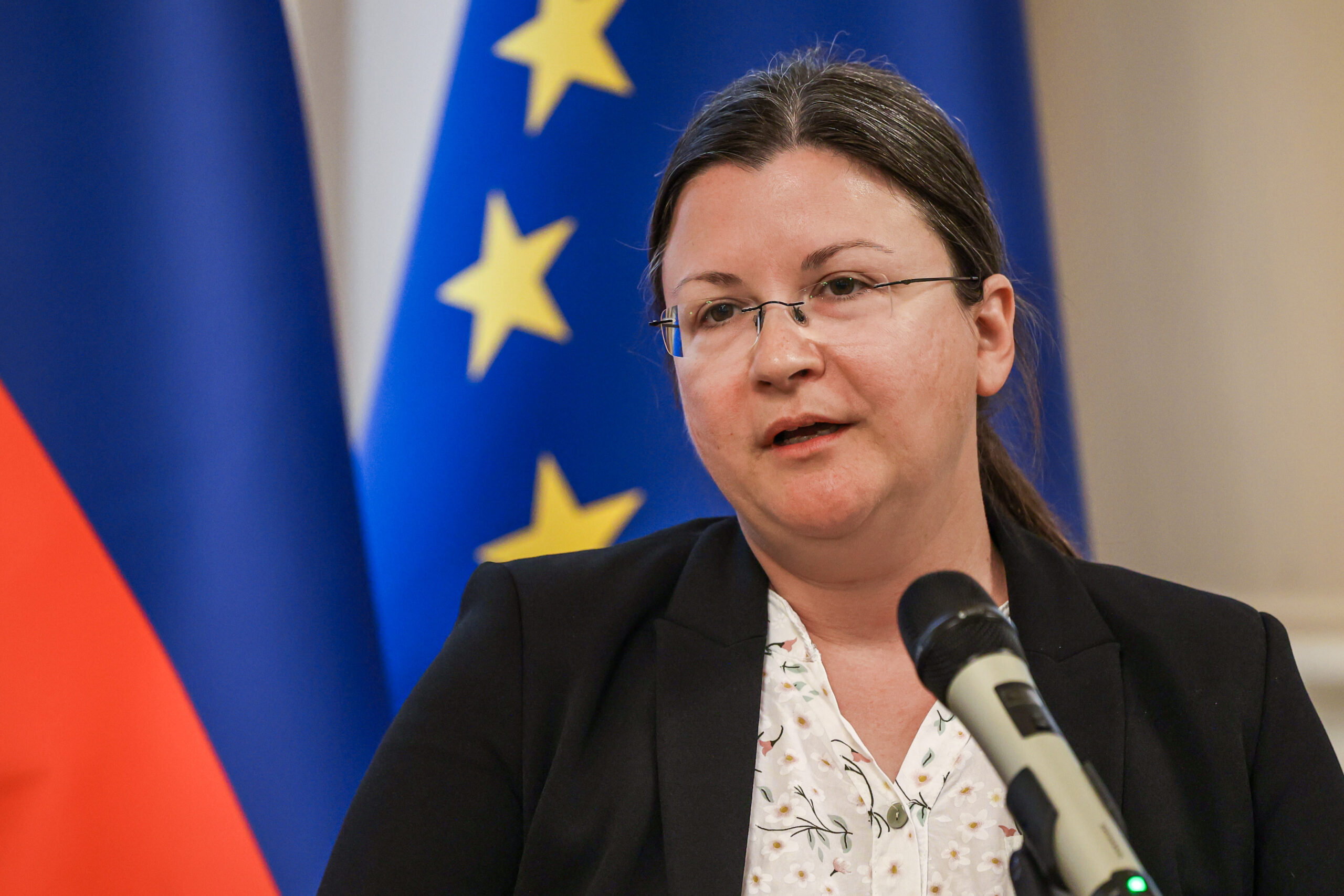 Slika članka