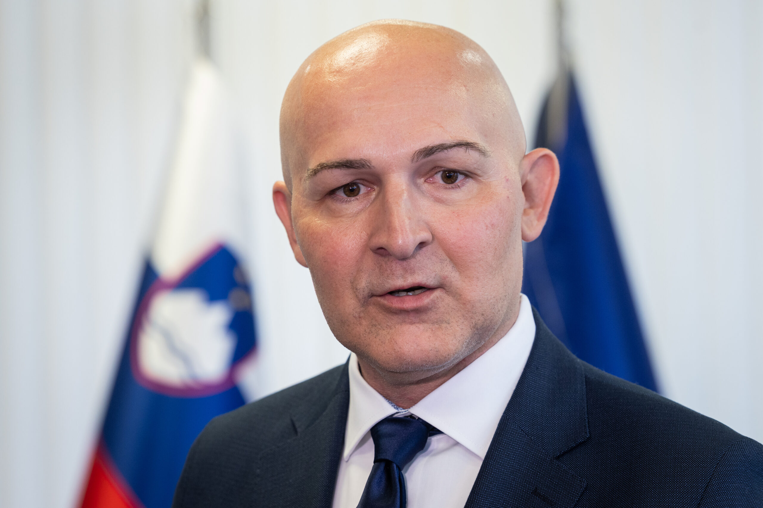 Slika članka