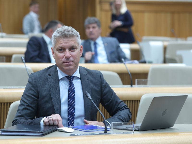 Slika članka