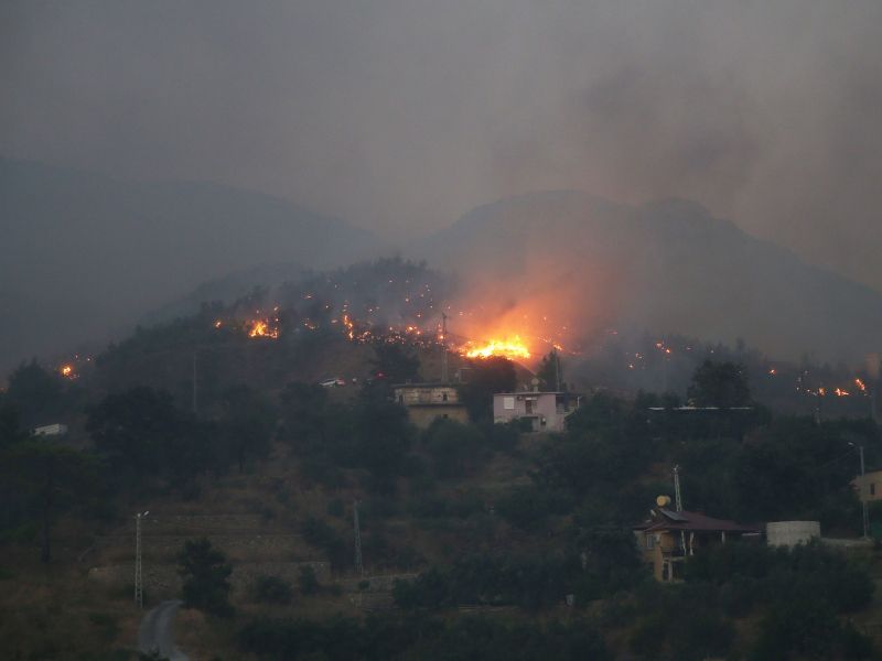 Slika članka