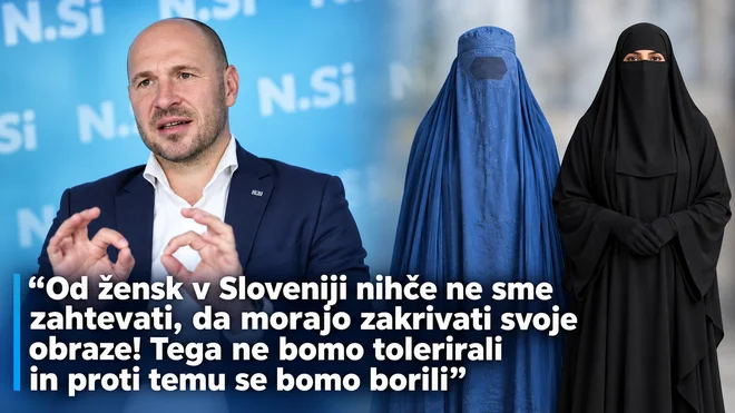 Slika članka