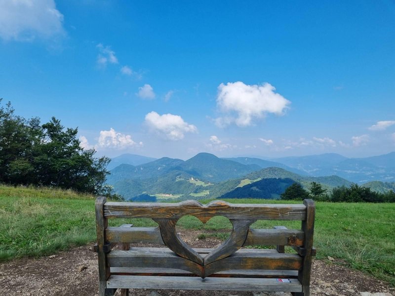 Slika članka