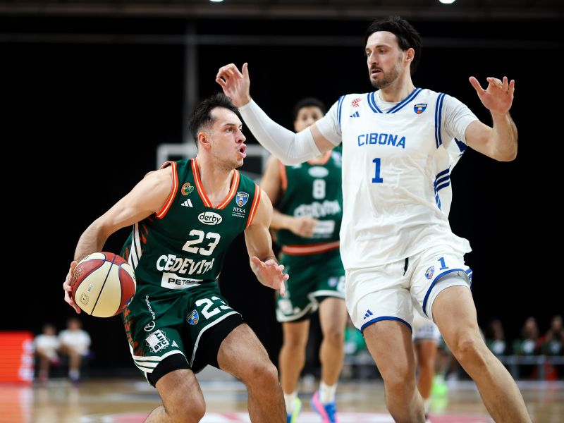 Slika članka
