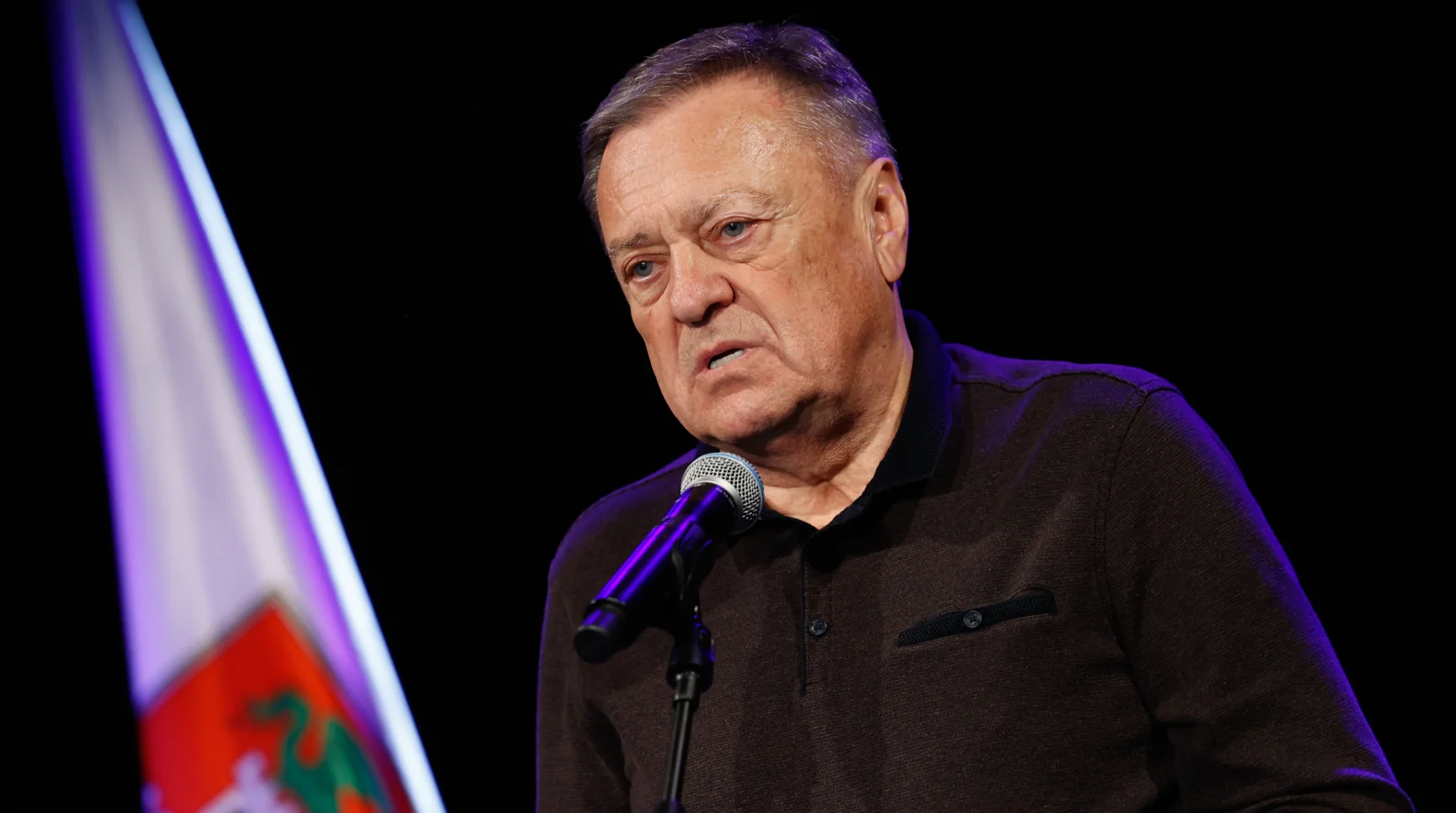 Slika članka
