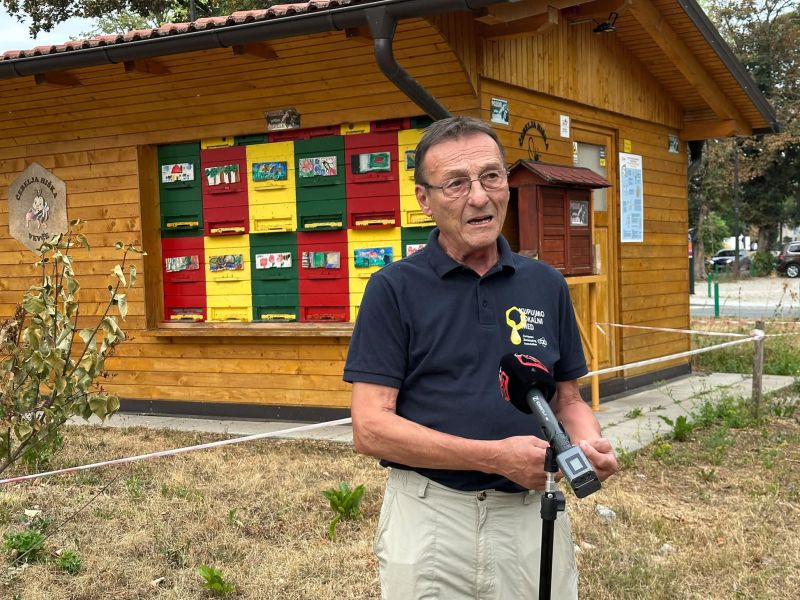 Slika članka