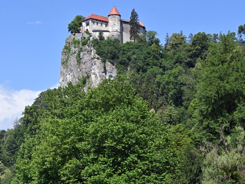 Slika članka