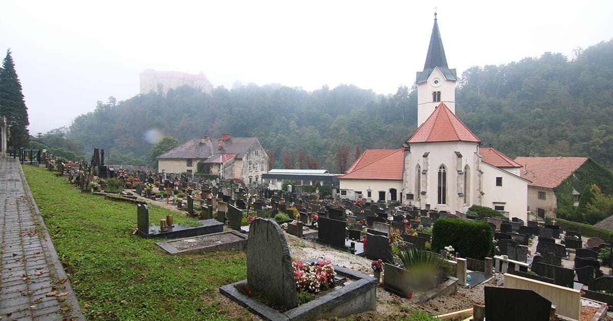 Slika članka