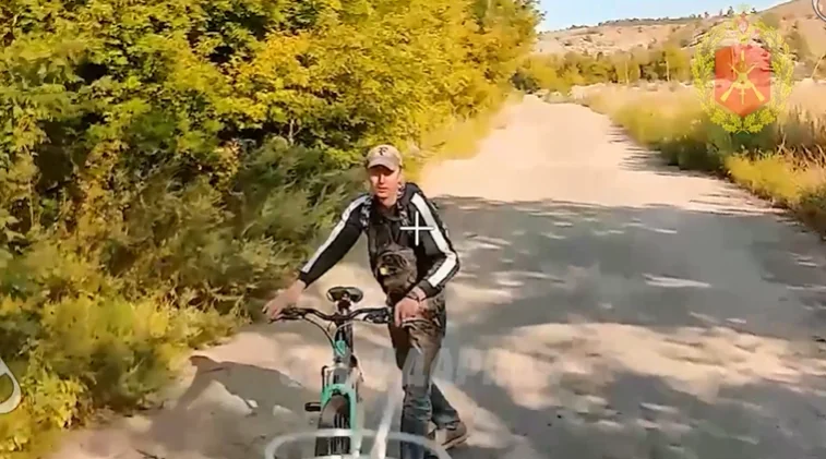 Slika članka