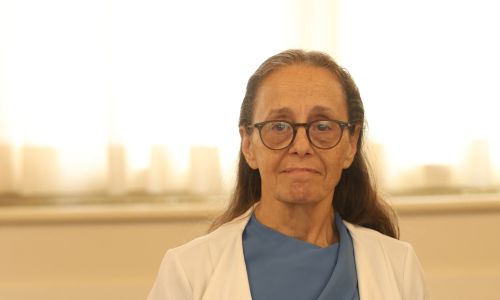 Slika članka