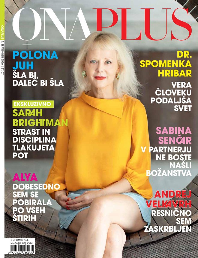 Slika članka