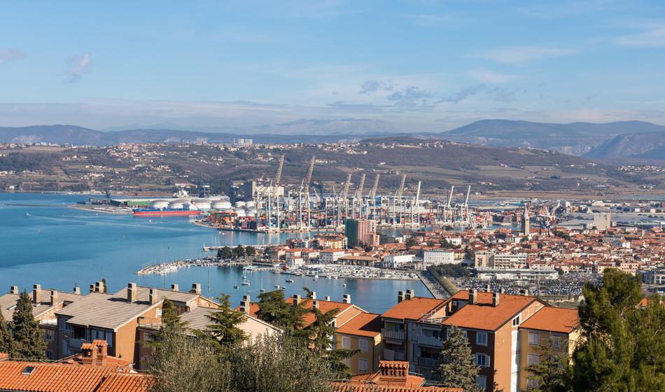 Slika članka