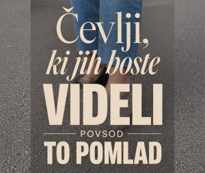 Slika članka