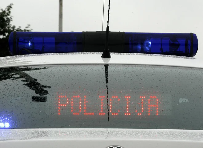 Slika članka