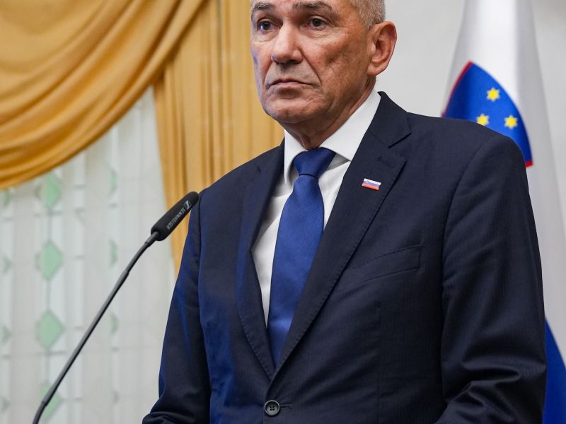 Slika članka