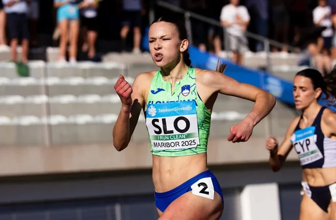 Slika članka