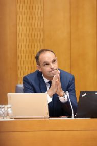 Slika članka