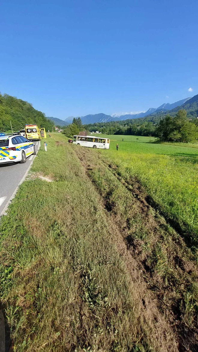Slika članka