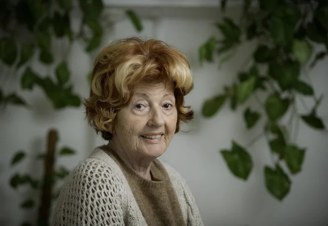 Slika članka