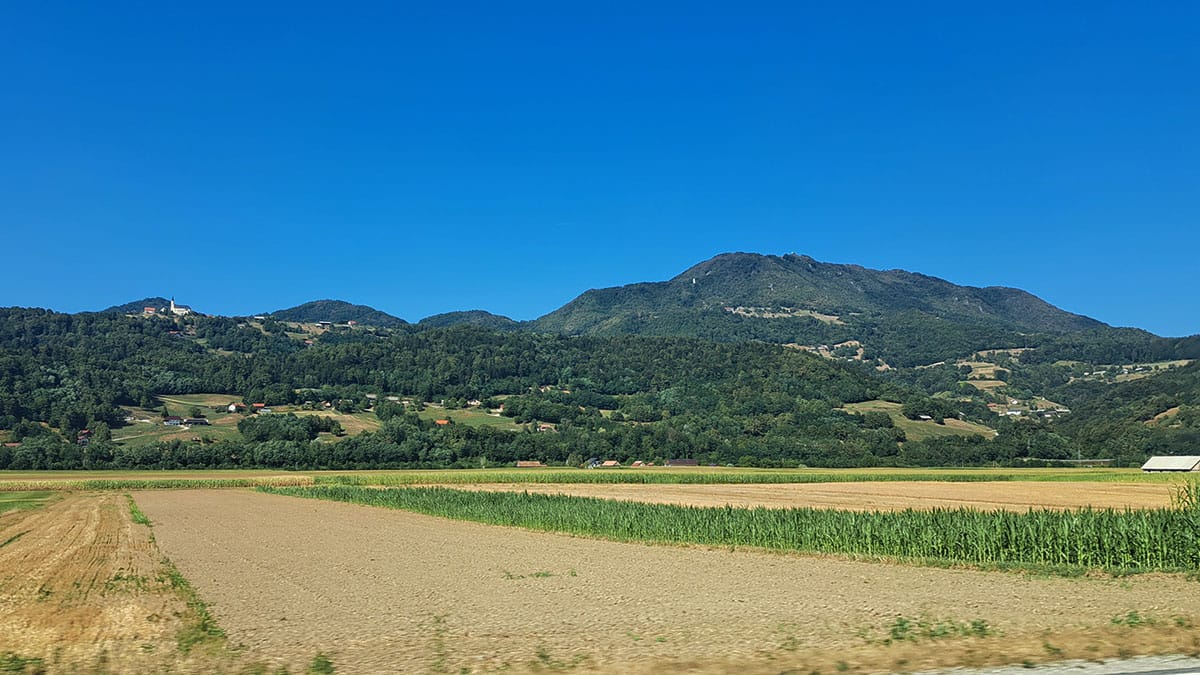 Slika članka