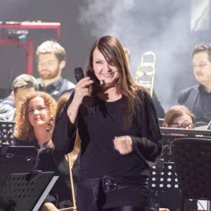 Slika članka