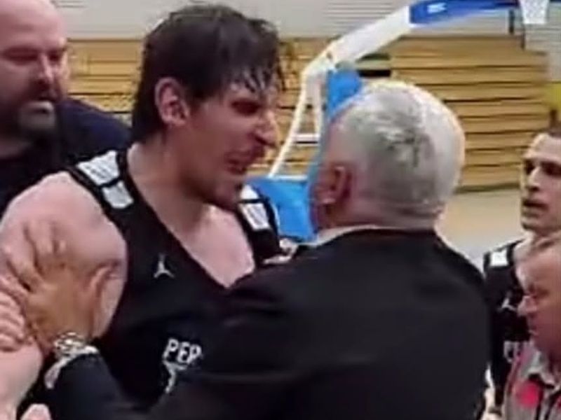 Slika članka