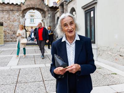 Slika članka