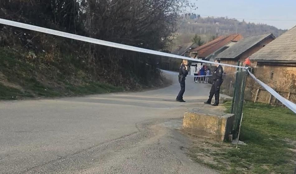 Slika članka