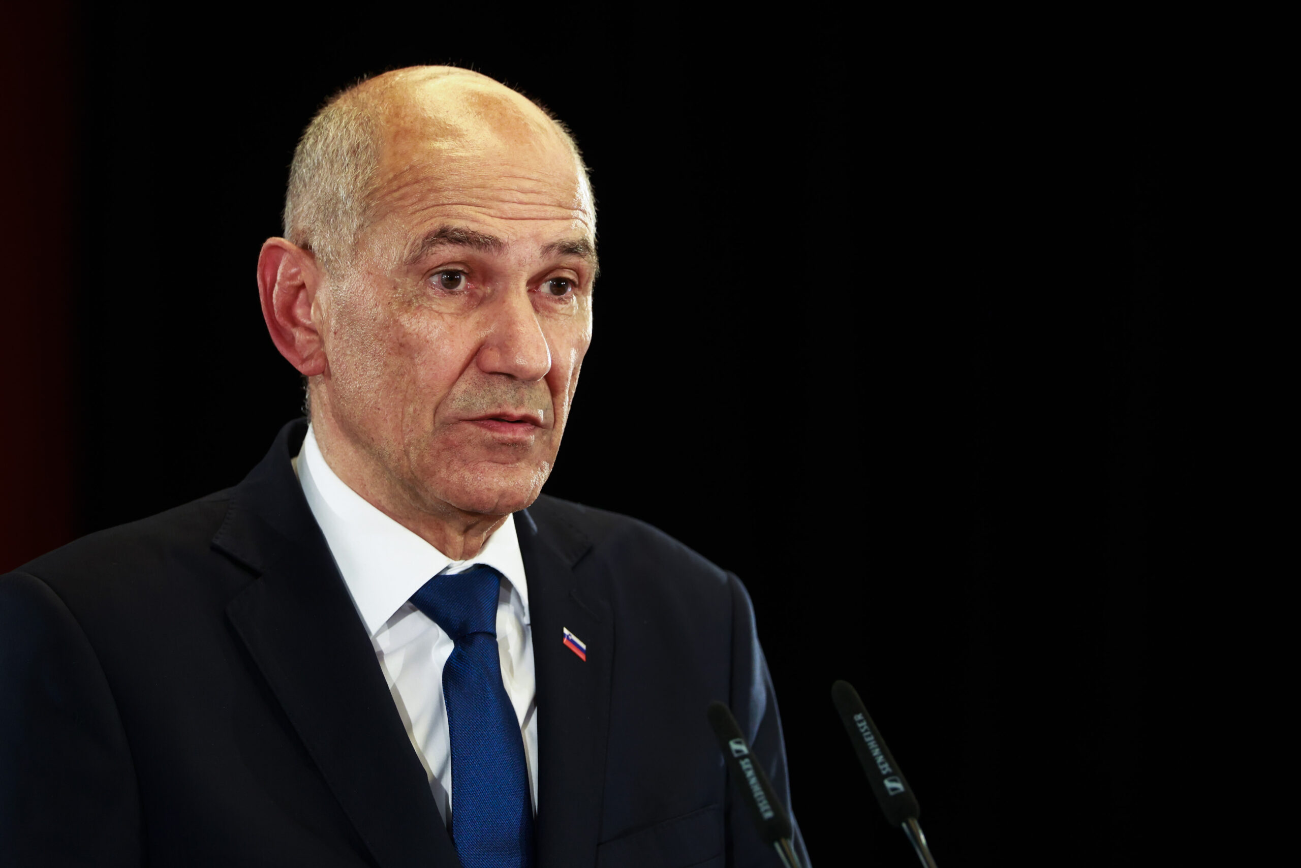 Slika članka