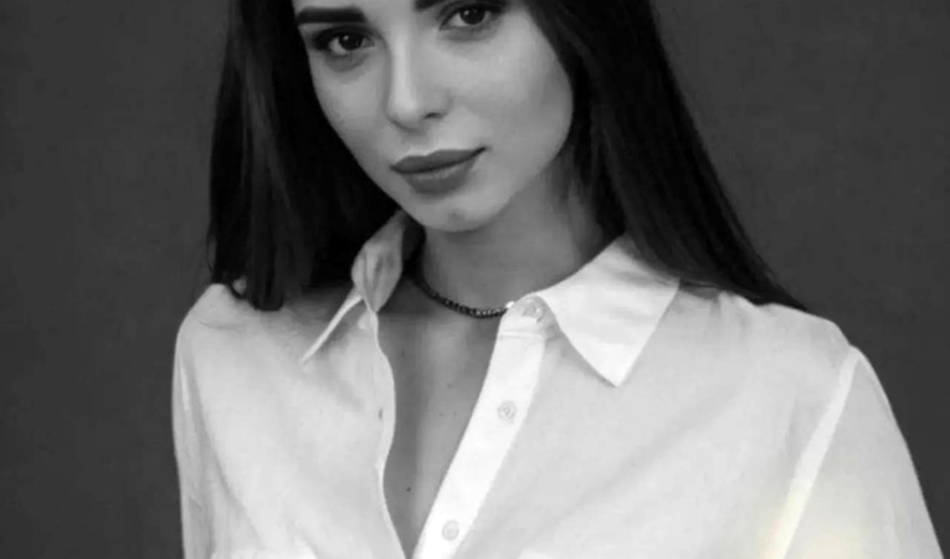 Slika članka