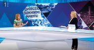Slika članka
