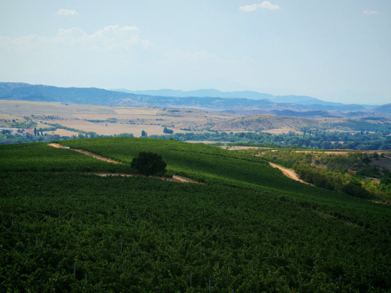 Slika članka