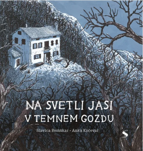 Slika članka