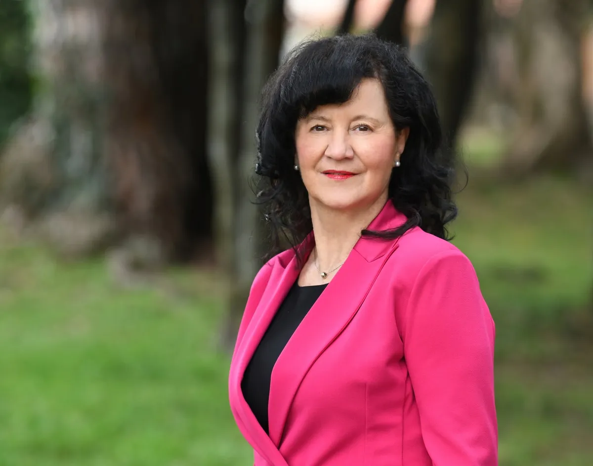 Slika članka