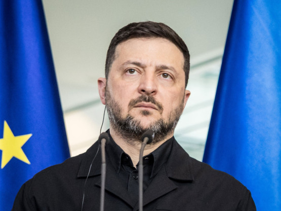 Slika članka