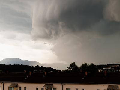 Slika članka