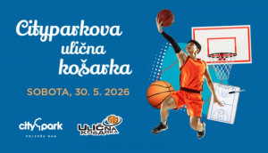 Slika članka