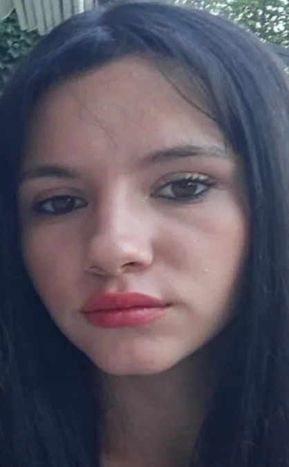 Slika članka