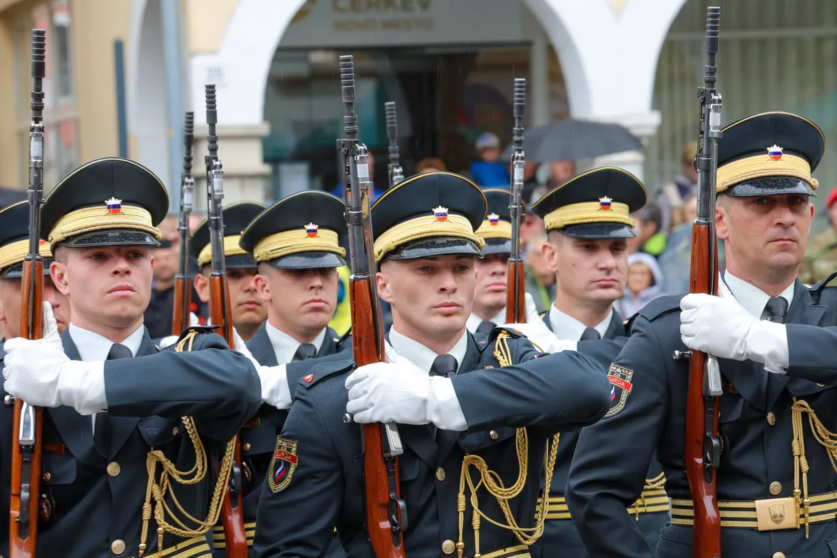 Slika članka