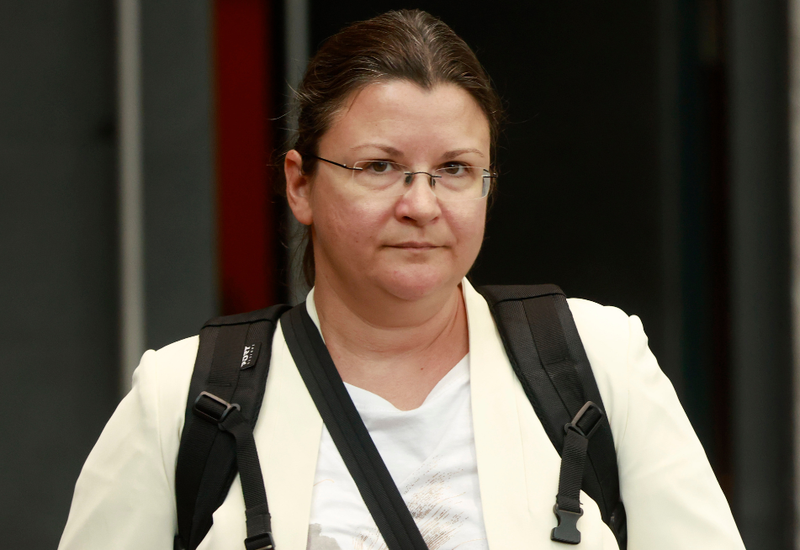 Slika članka