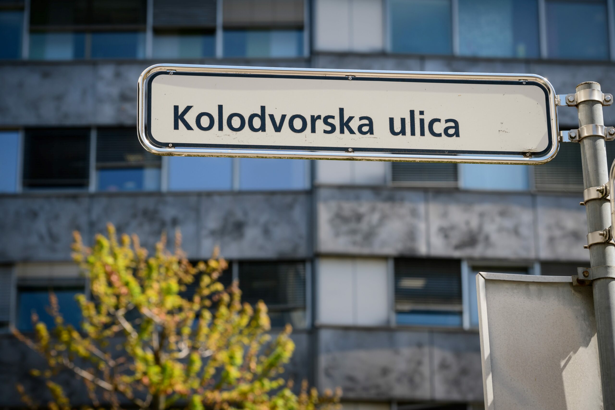 Slika članka