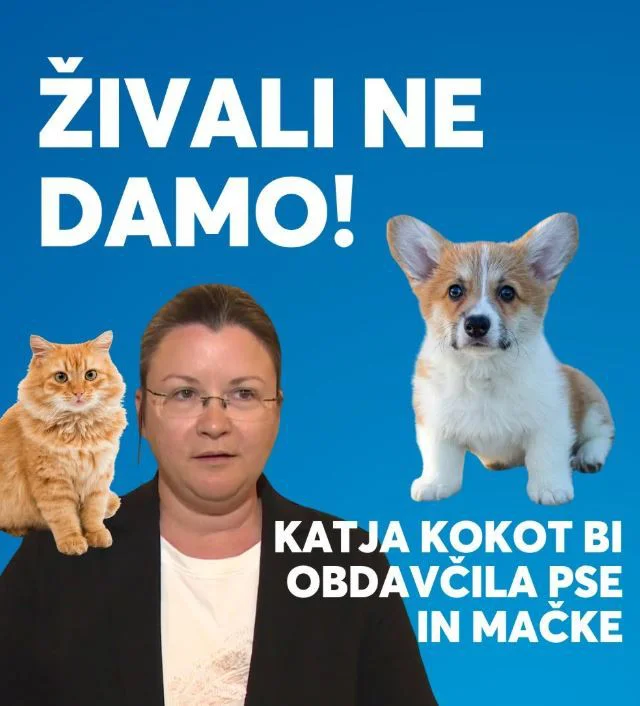 Slika članka