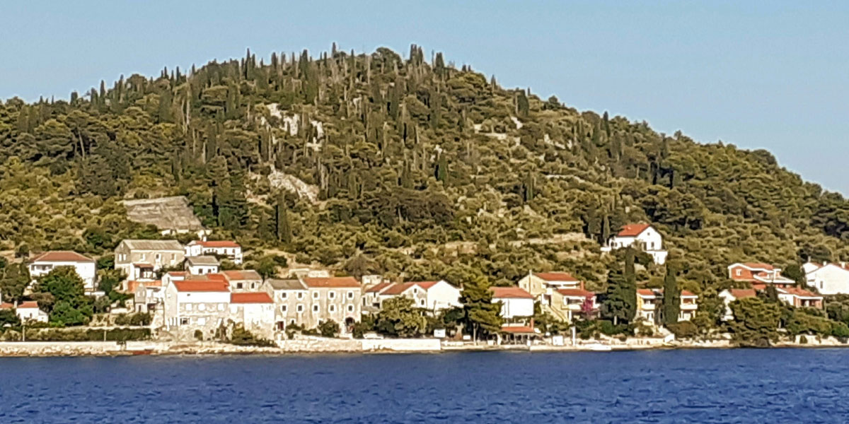 Slika članka