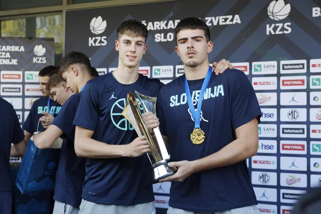 Slika članka