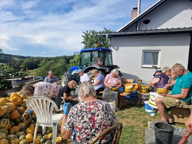 Slika članka